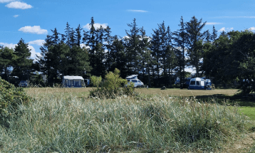 Græsplænen lige ved Limfjorden