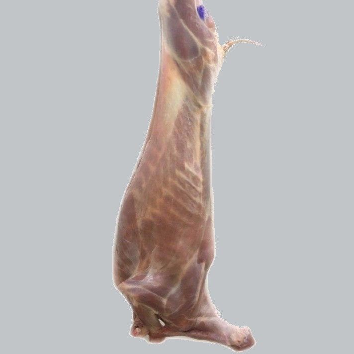 Indian Chilled Carcass