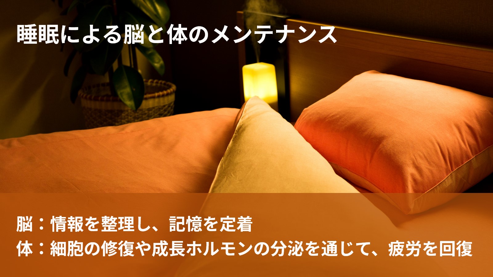 睡眠による脳と体のメンテナンス