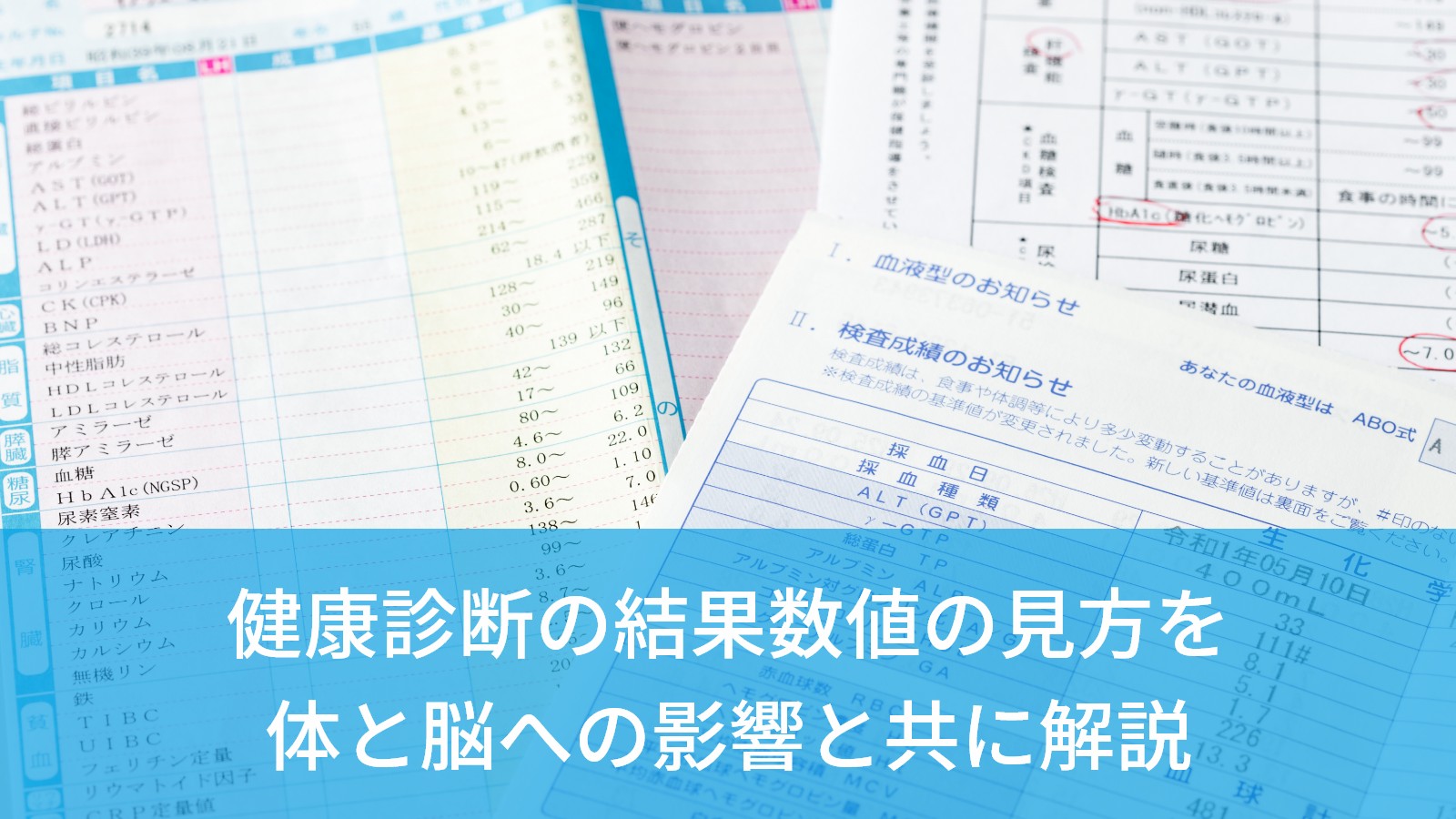 健康診断の結果
