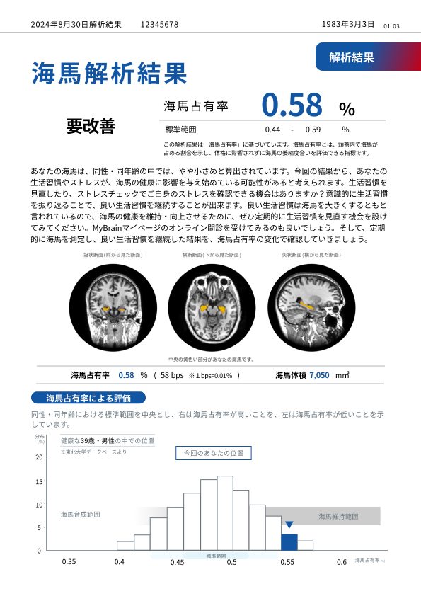BrainSuite 解析レポート