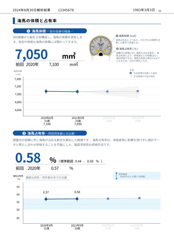 BrainSuite 解析レポート