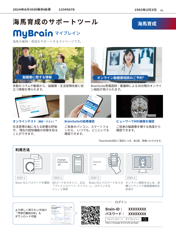 BrainSuite 解析レポート