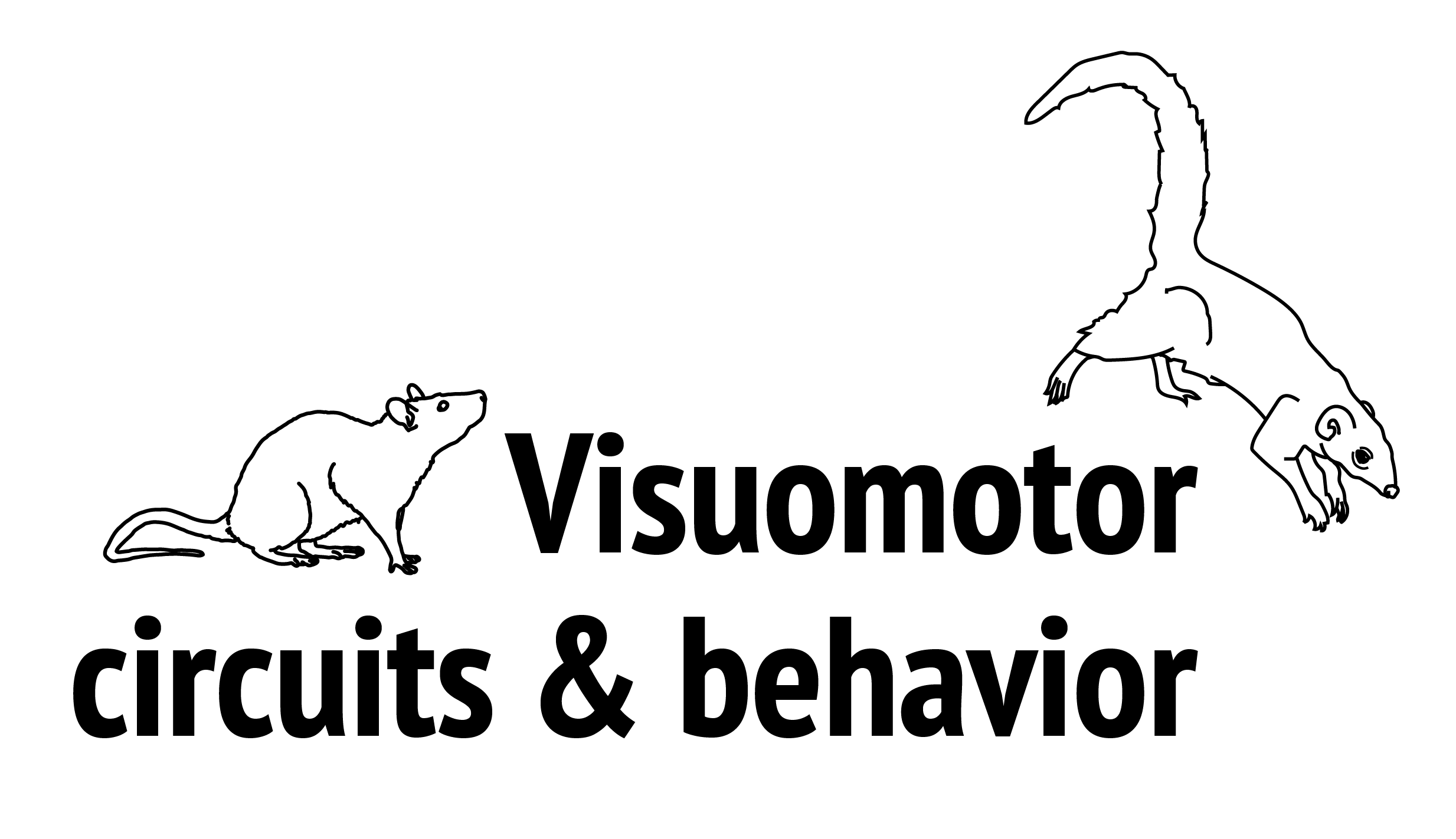 Visuomotor circuits &amp; behavior logo with a rat and jumping tree shrew