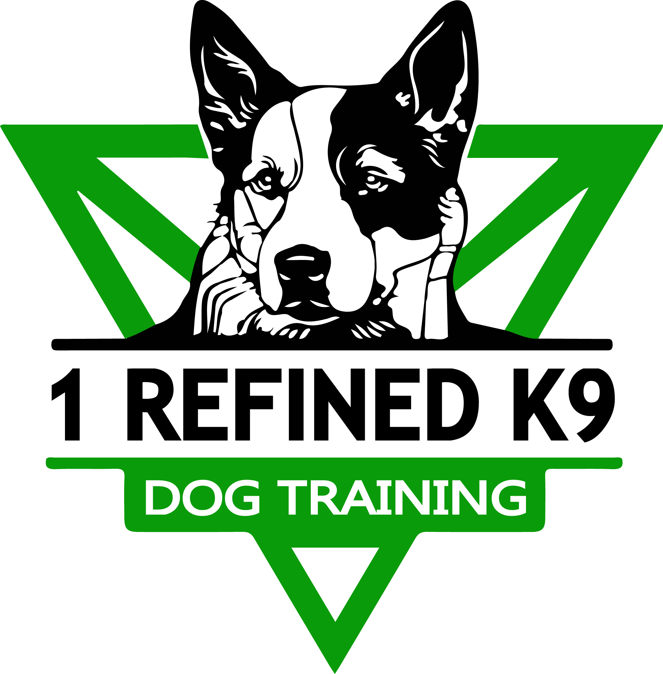 dog-obedience-training-and-puppy-training-deland-orange-city