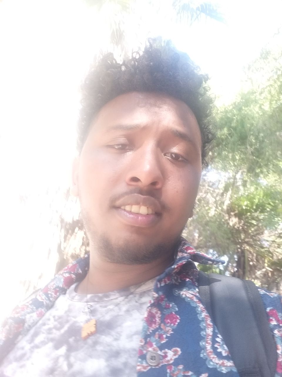 Home [avpassignment.nicepage.io]
