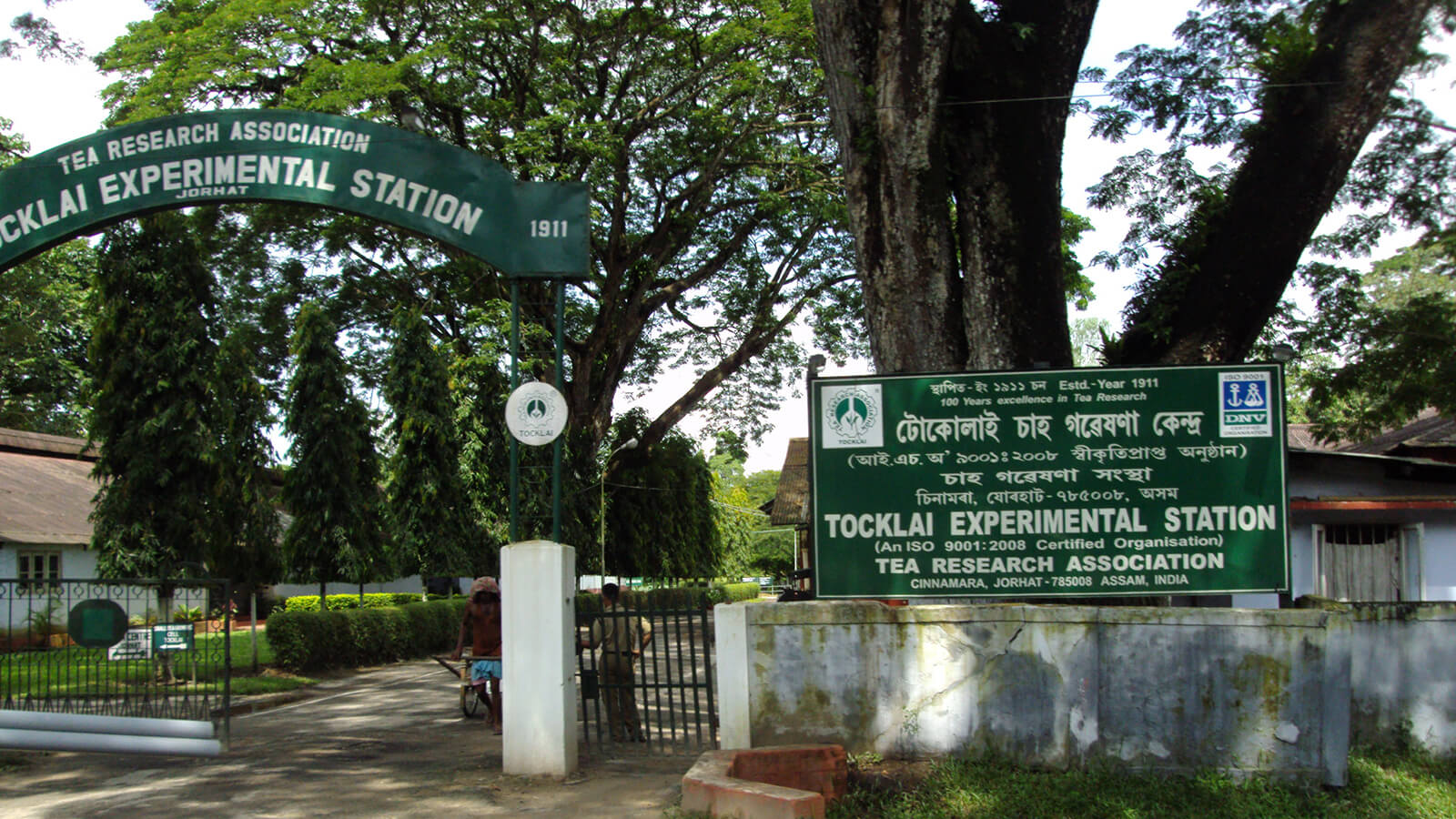 Tocklai Tea Center - Assam Tea Estate Tour