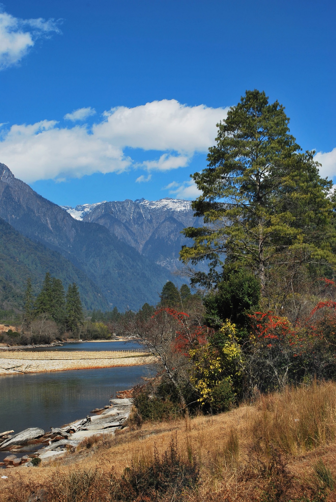 eastern himalayan mountains of northeast india