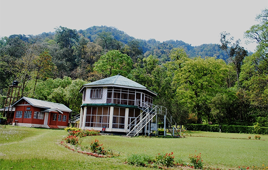 forest guesthouse at deban in namdapha national park