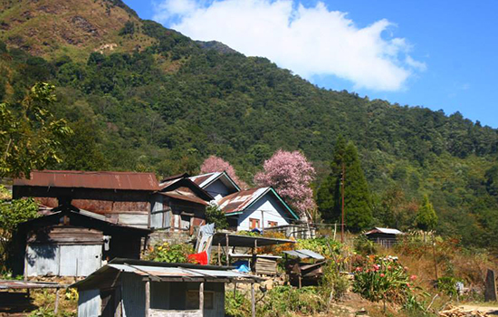 Accommodations during Nagaland Tribal Tour