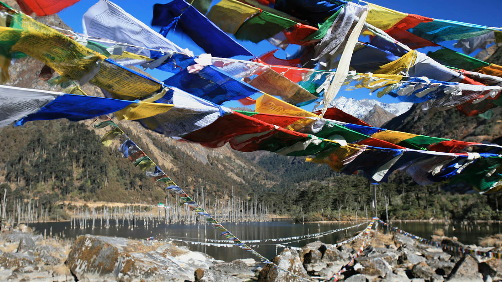 Sangetsar Lake - Arunachal Pradesh Trekking
