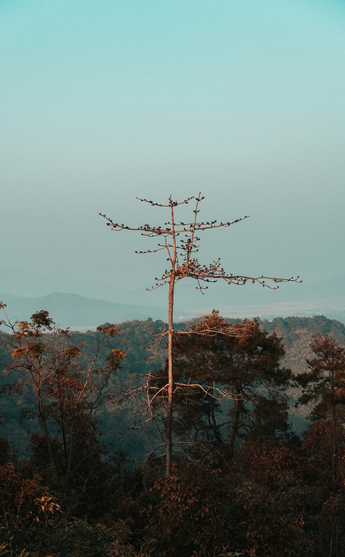 landscape of manipur