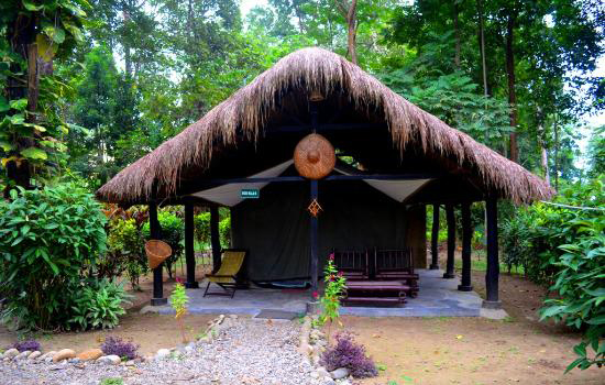 Accommodations during Northeast India Wildlife Tour