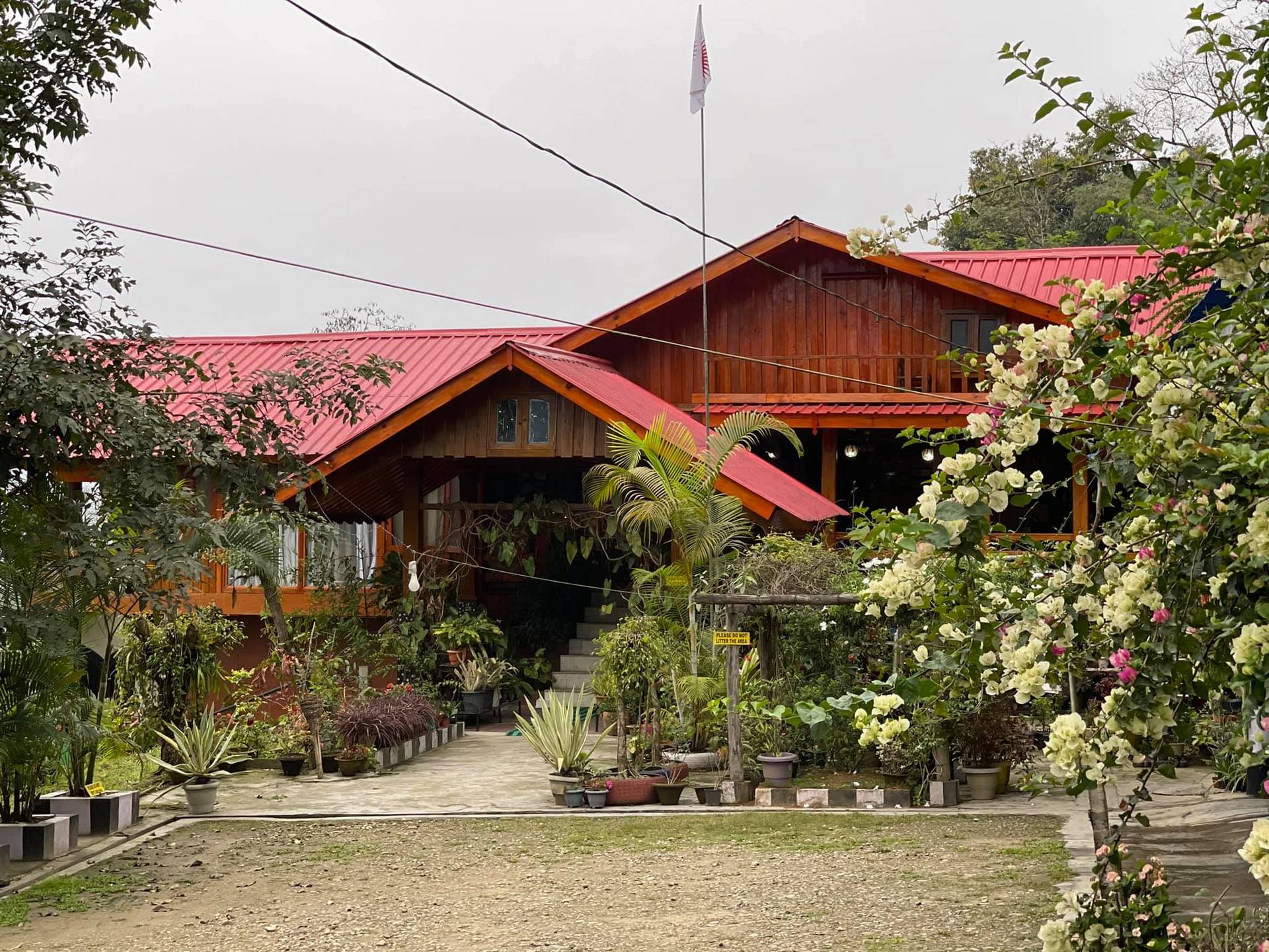 reyi homestay in aalo arunachal pradesh