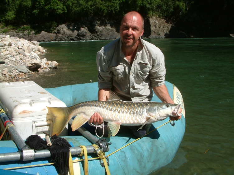 golden mahseer 