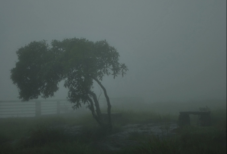 rainy landscape of cherrapunji in meghalaya