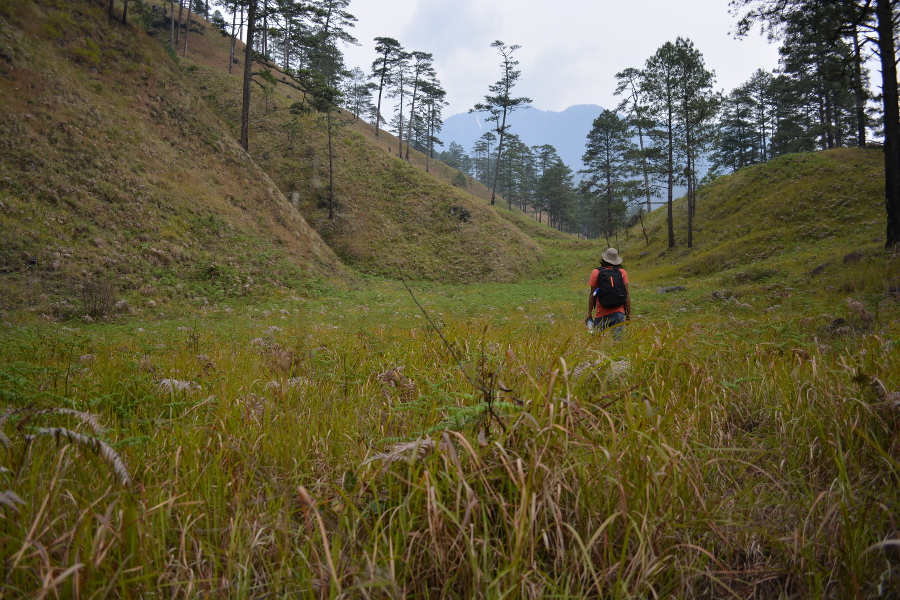 dong valley arunachal pradesh