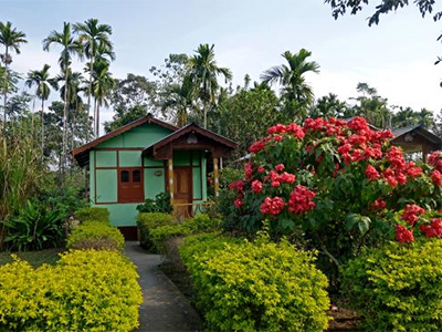 jungle lodge manas national park