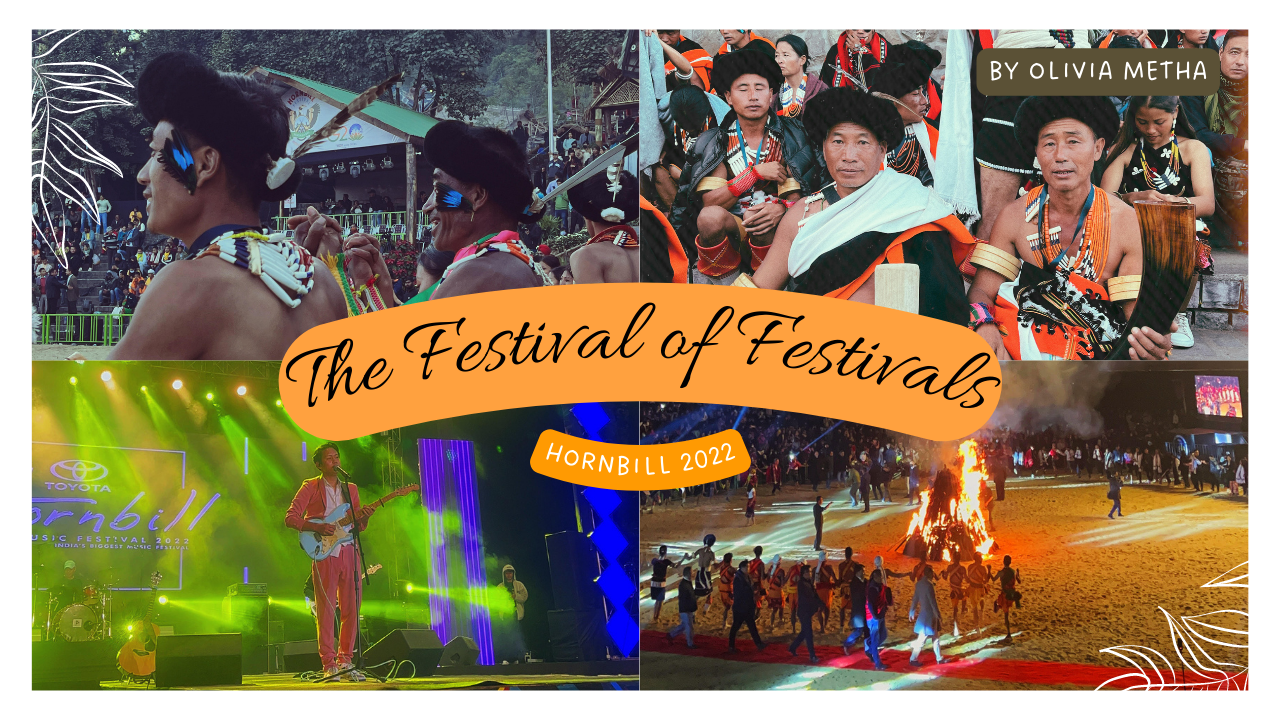 hornbill festival travel blog