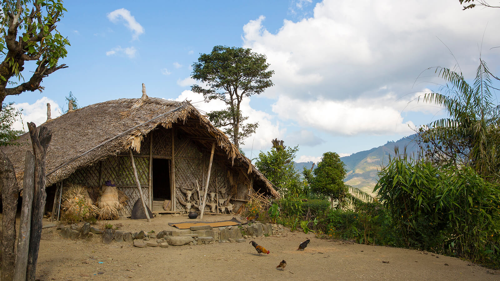 a house of a tribal family in nagaland