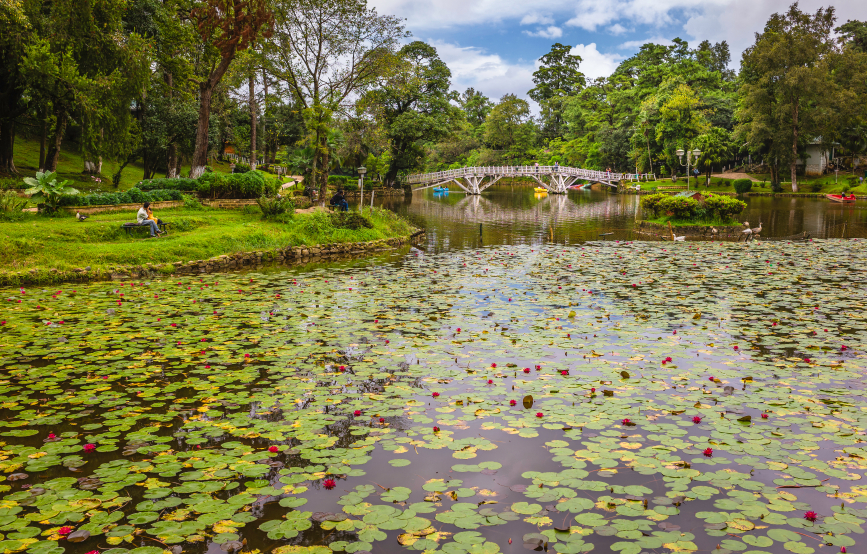 wards lake in shillong, meghalaya