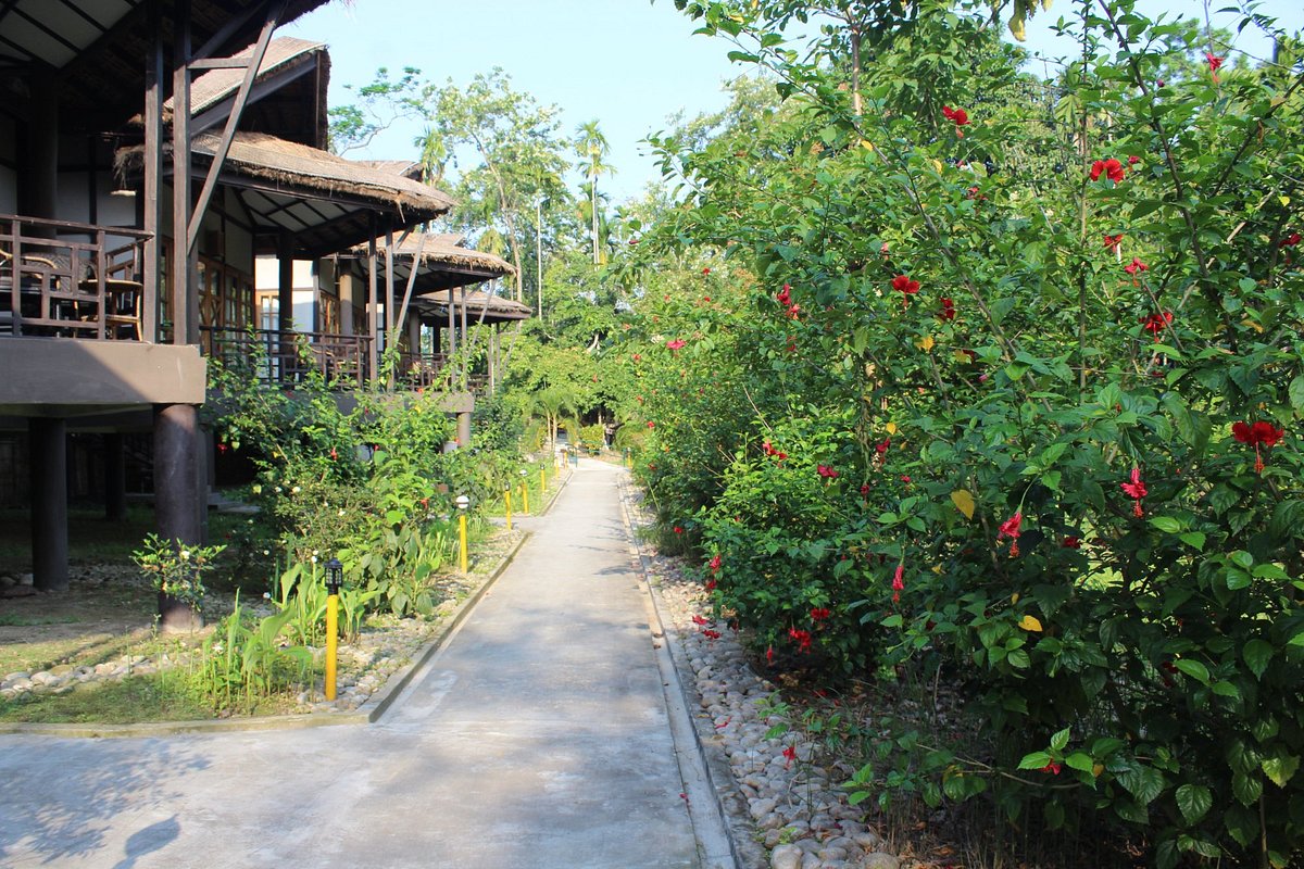 infinity resort kaziranga national park