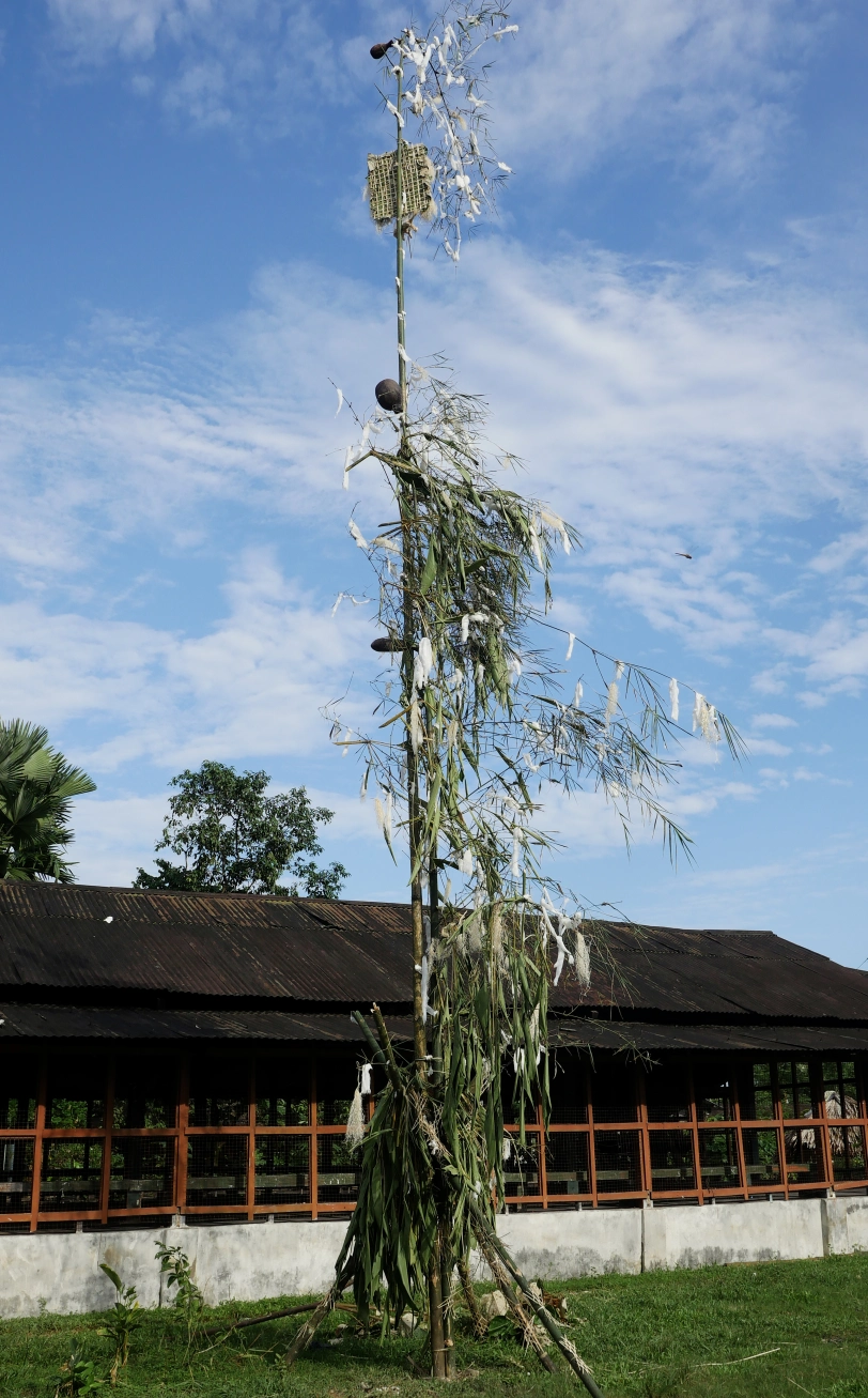 animist pole to ward of evil in arunachal pradesh