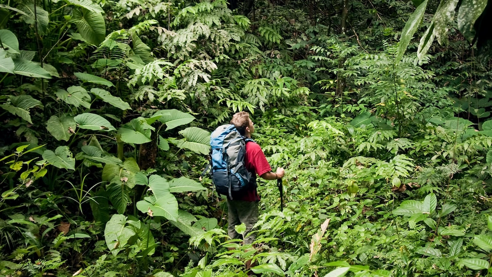 northeast india trekking