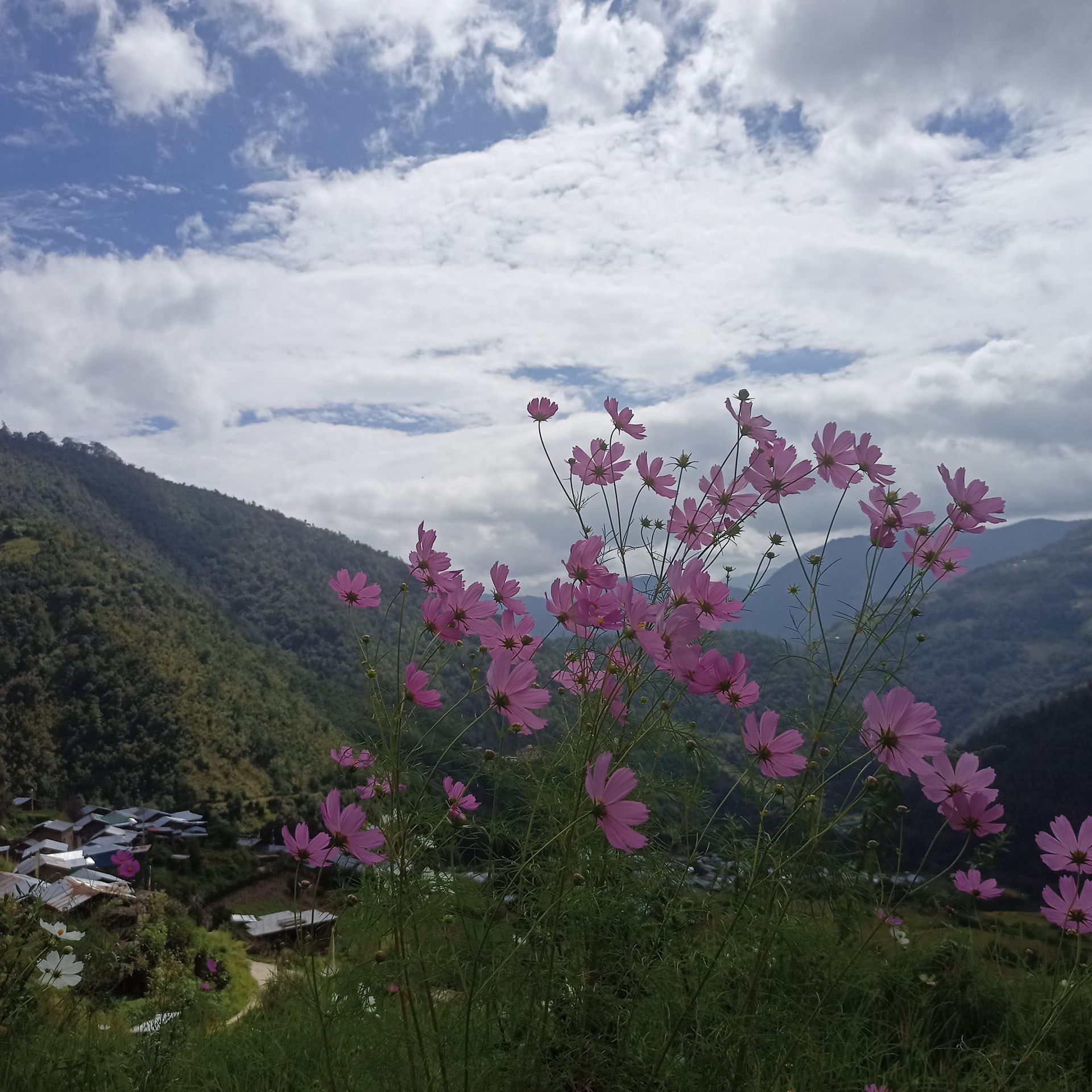 bishum phudung village in arunachal pradesh