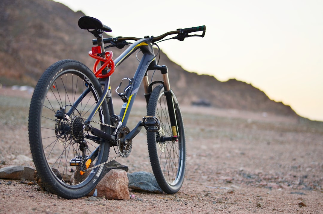 VTT