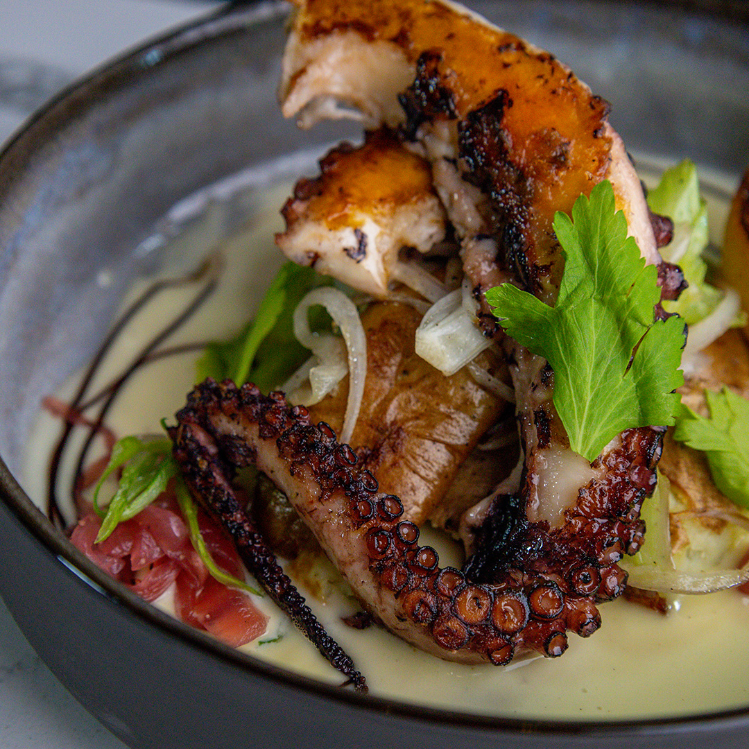 Best Grilled Octopus in Bradenton Florida