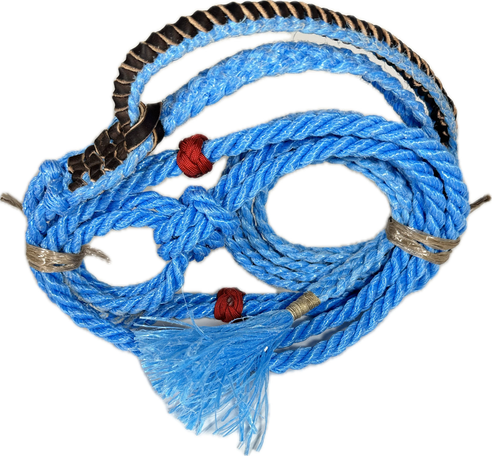 Steer Blue Color