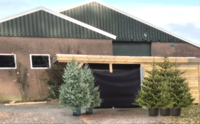 Intratuin kerstbomen? Nee zelfs nog betere kerstbomen te koop