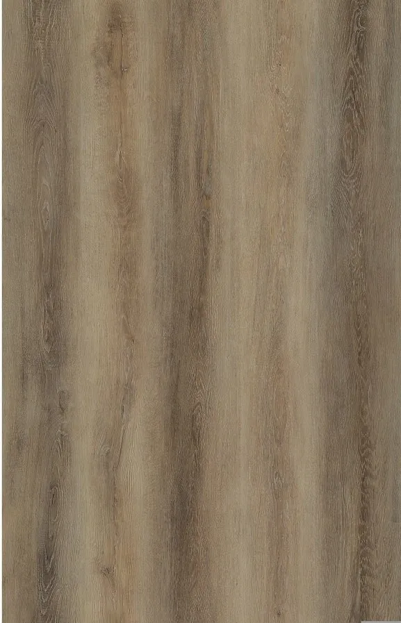 Tortilla Oak