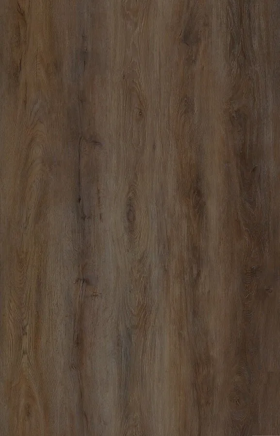 Tawny Oak
