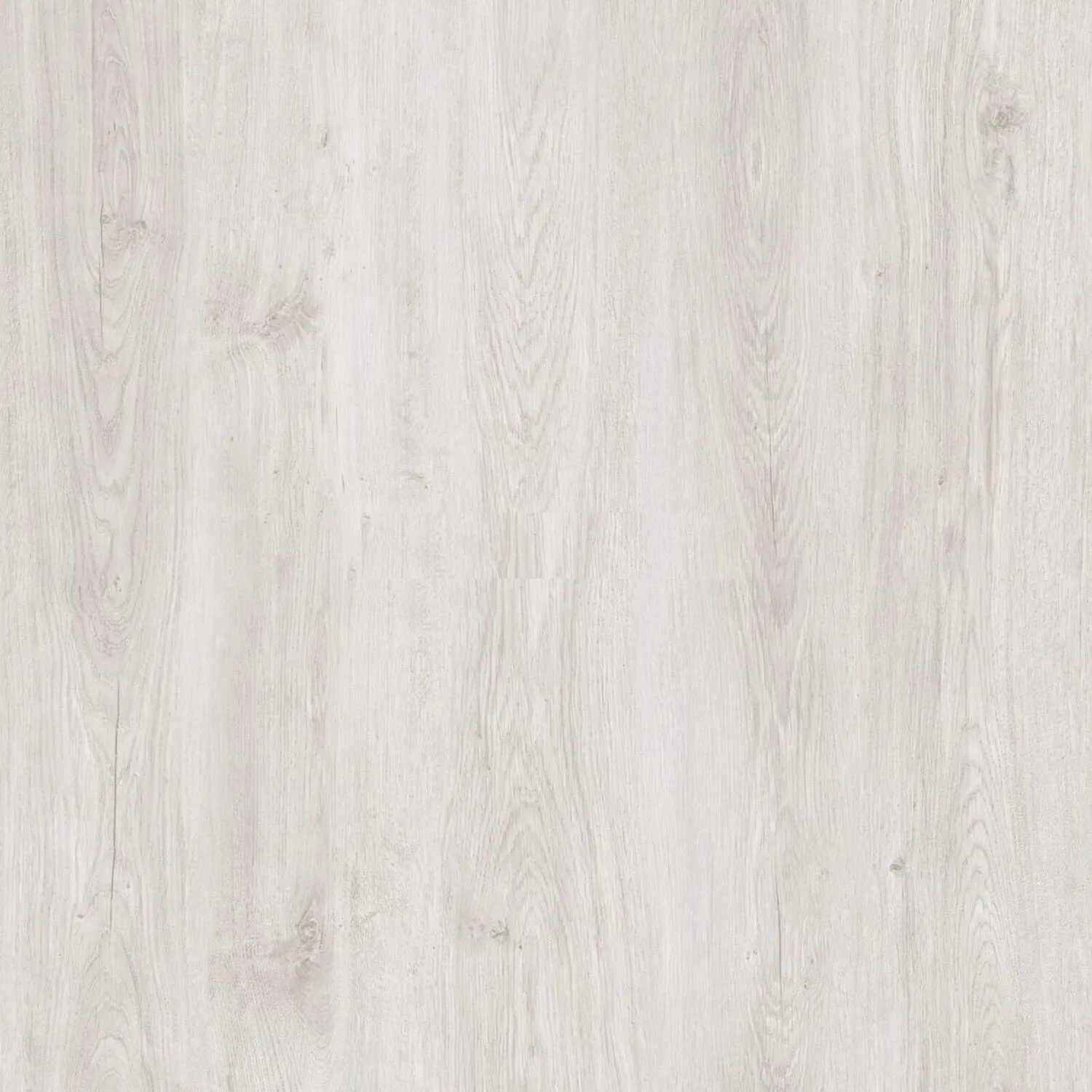 Calabra Oak