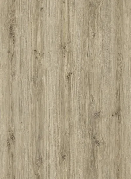 Glorious Oak