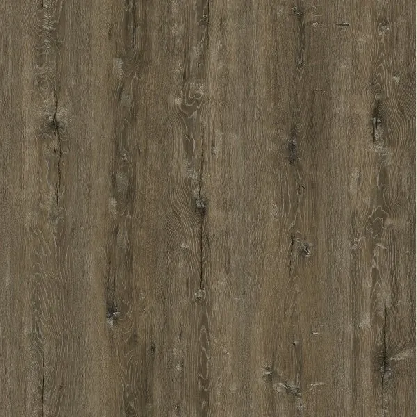 Millenium Oak