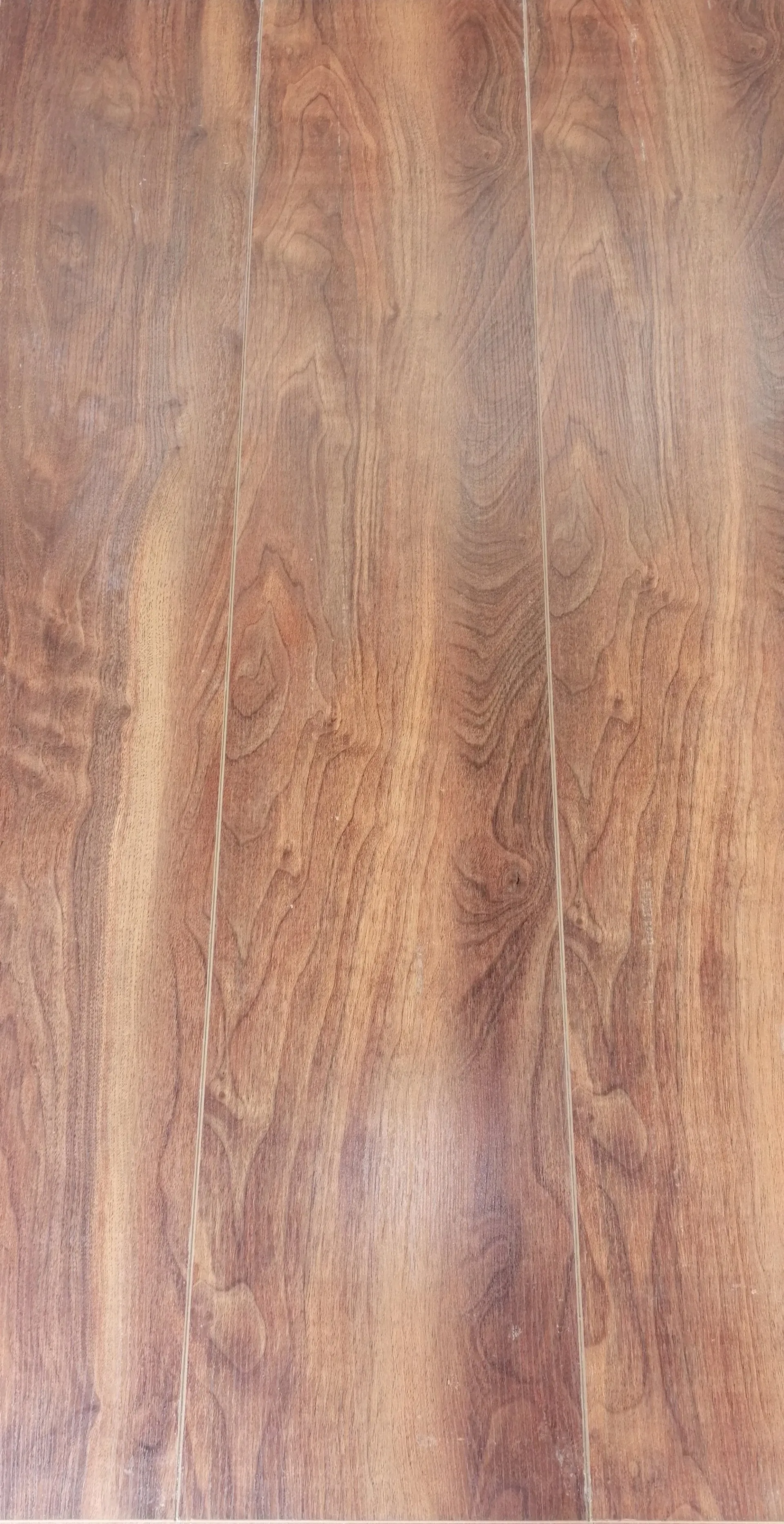 Hickory Oak