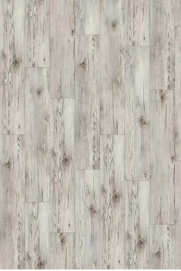 Jupiter Oak