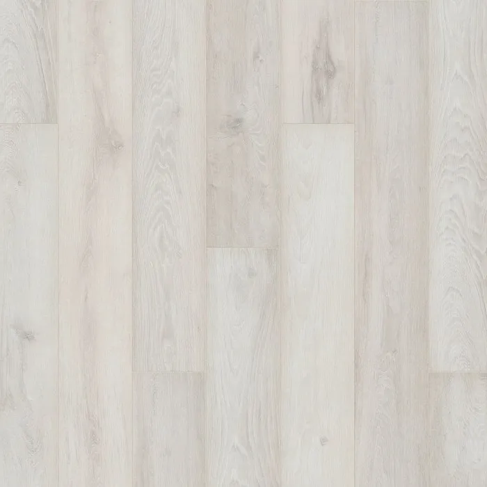 Iceberg oak