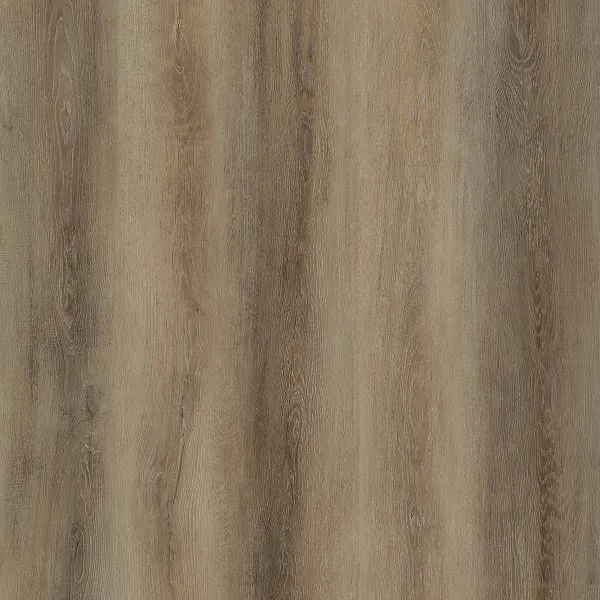 Latte Oak