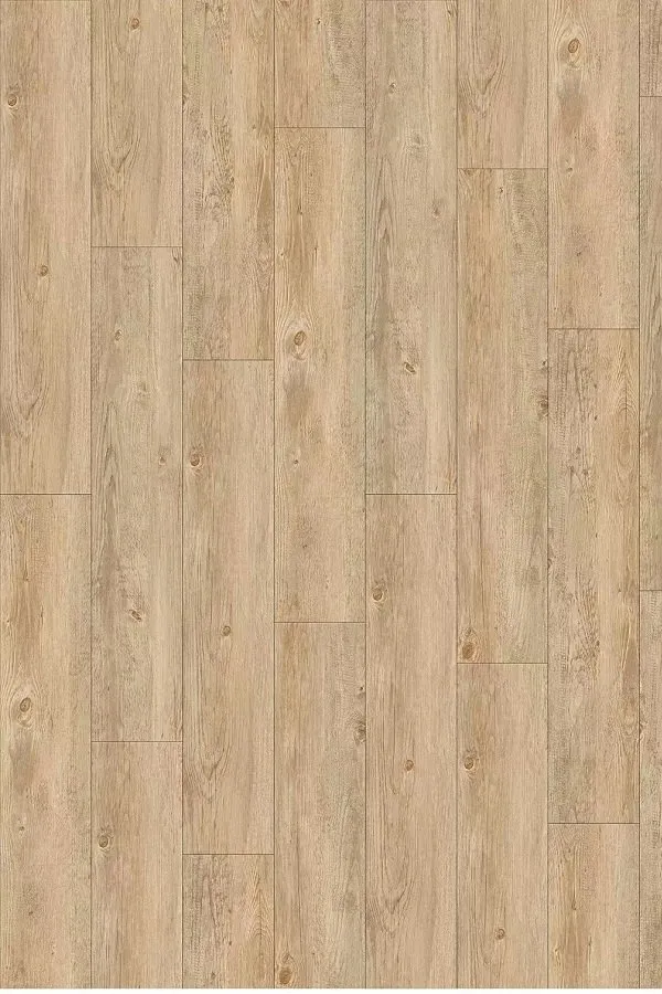 Tangerine Oak