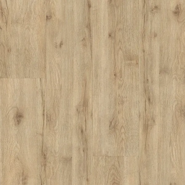 Torronto Oak