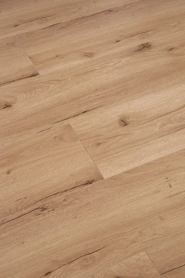 Trancend Oak