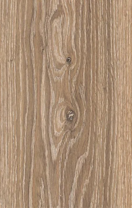 Olinda Oak