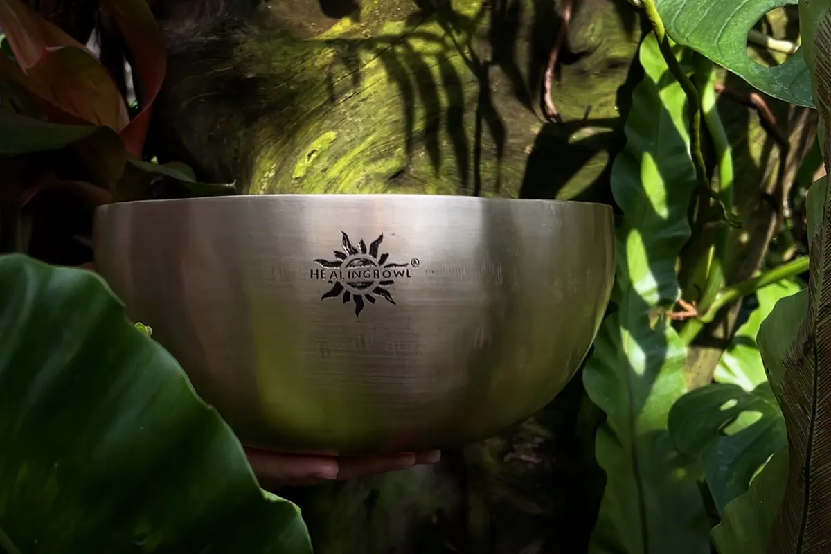Healingbowl Singing Bowl