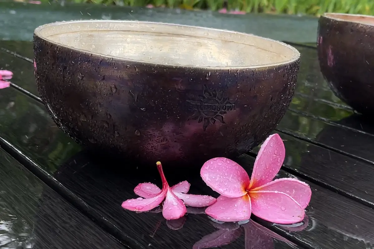 Healingbowl Singing Bowl