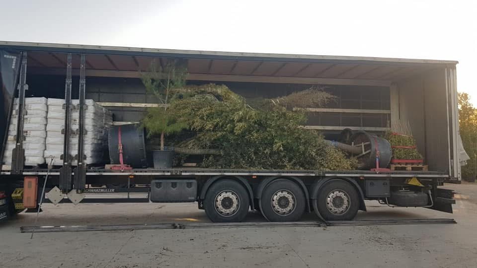 Trasporti con camion a Lecce e provincia - immagine 5
